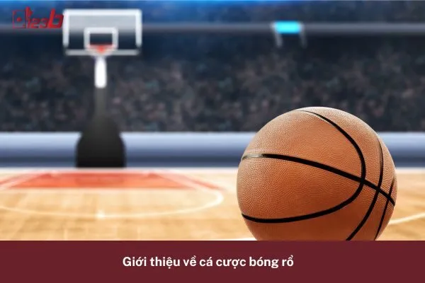 Cá Cược Bóng Rổ