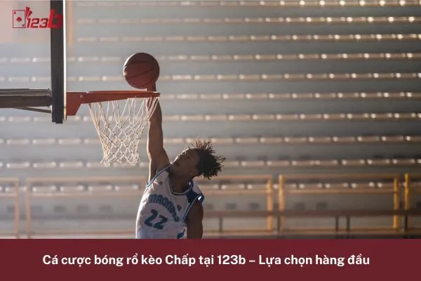 Cá Cược Bóng Rổ